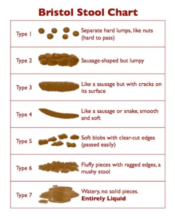 Bristol Stool Chart