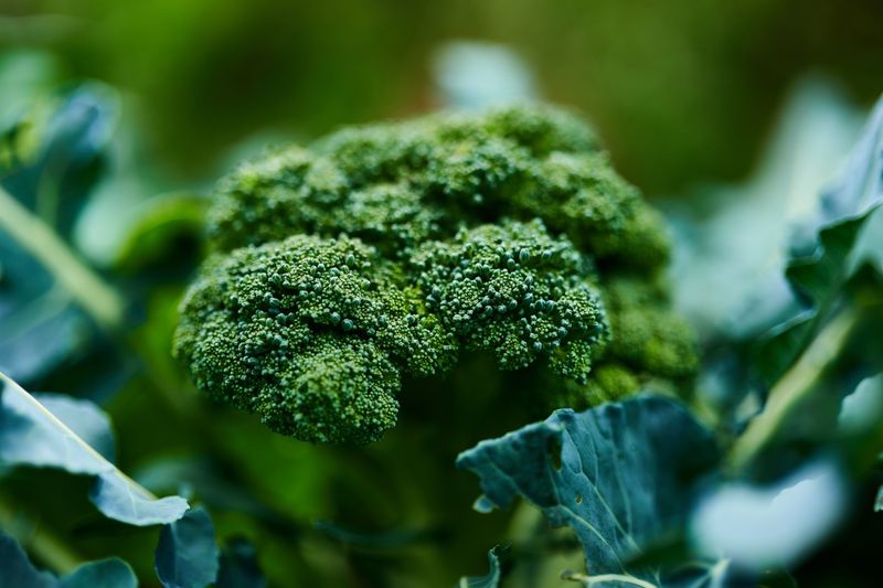 Do Cruciferous Vegetables Balance Hormones?